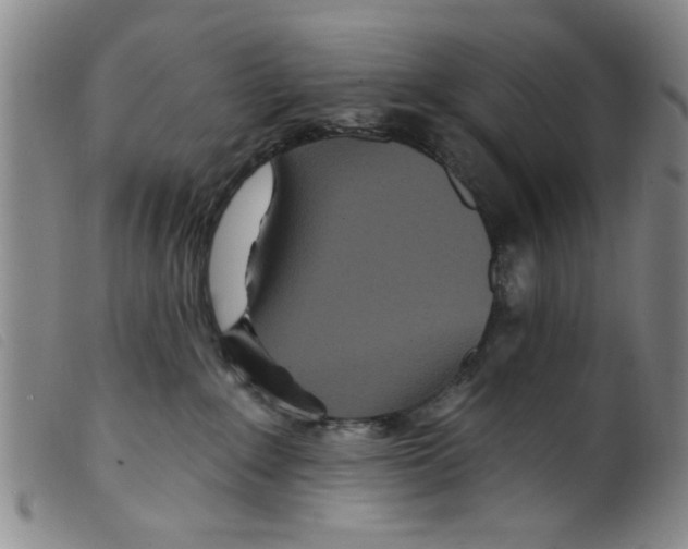 X0000098200235200805221549
