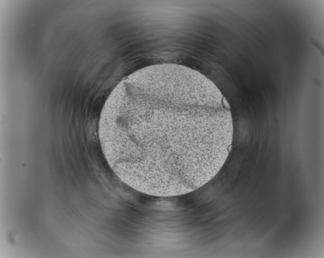 X0000098200236200805221549