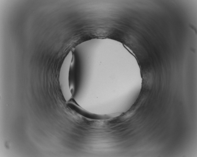 X0000098200237200805221549