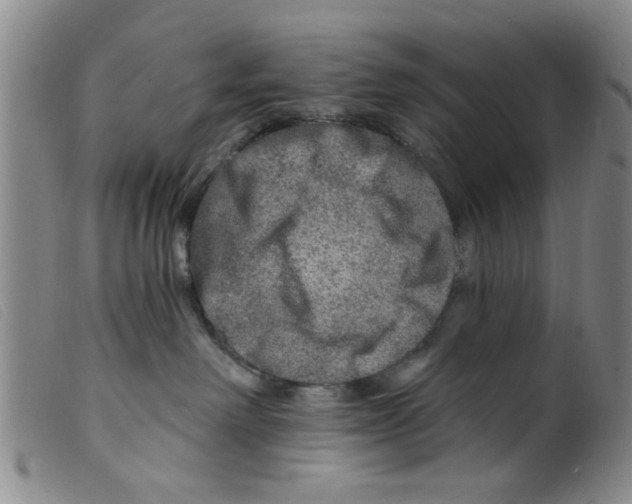 X0000098200238200805221549