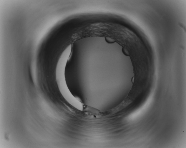 X0000098200239200805221549