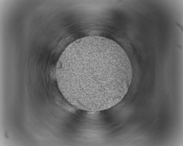 X0000098200240200805221549