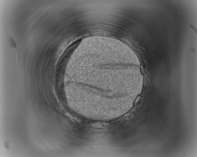 X0000098200241200805221548