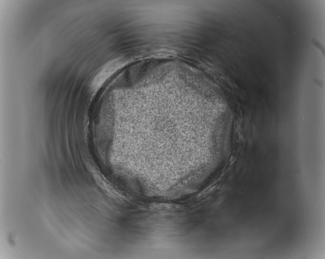 X0000098200242200805221548