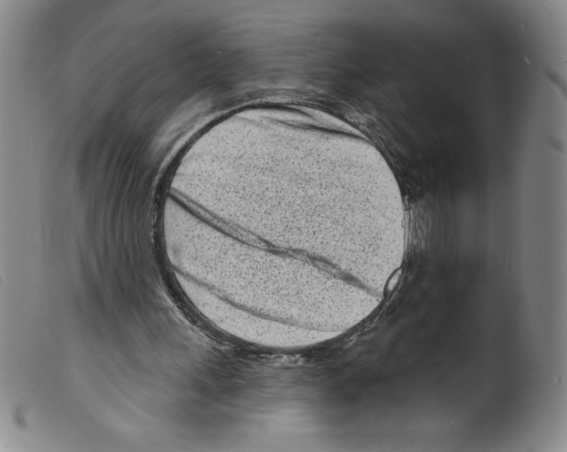 X0000098200243200805221548