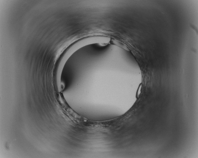 X0000098200244200805221548