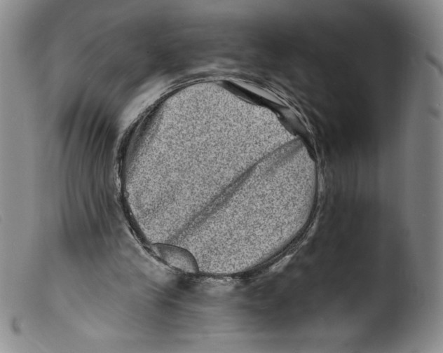 X0000098200245200805221548