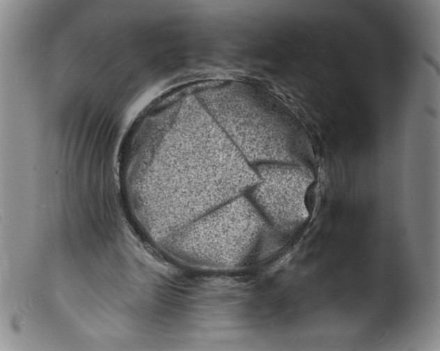 X0000098200246200805221548