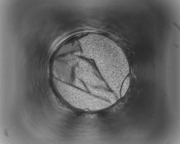 X0000098200247200805221548
