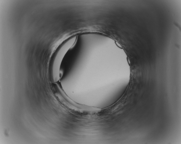 X0000098200248200805221548