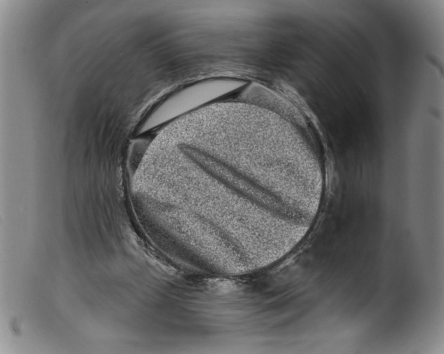 X0000098200249200805221548