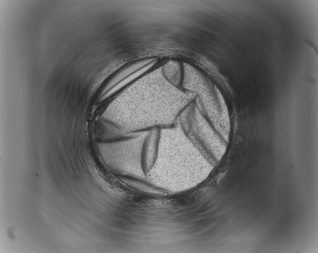 X0000098200250200805221548