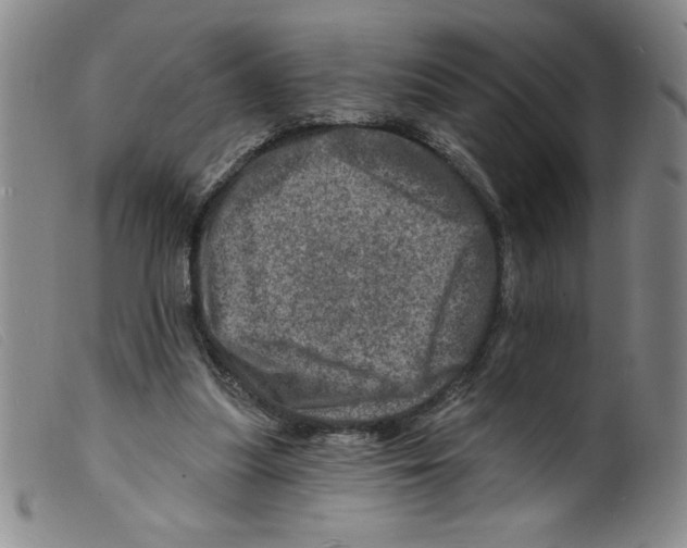 X0000098200251200805221548