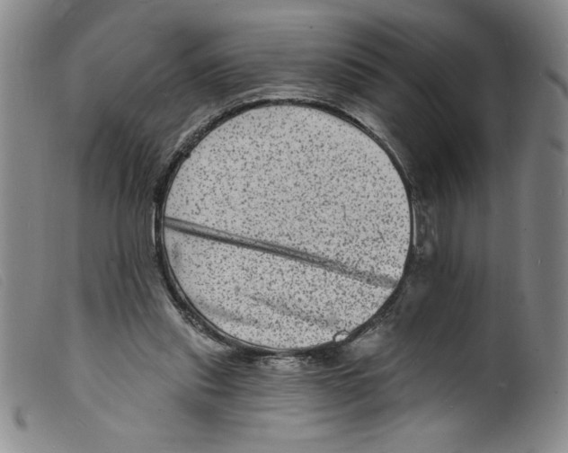 X0000098200253200805221548