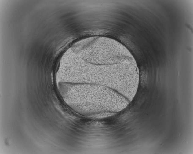 X0000098200254200805221548