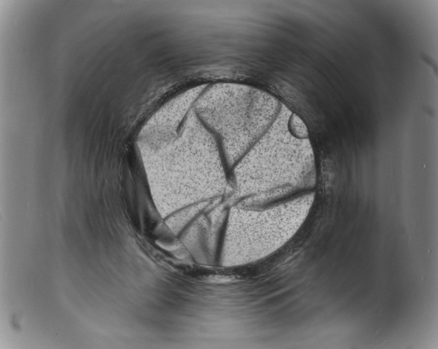 X0000098200255200805221548