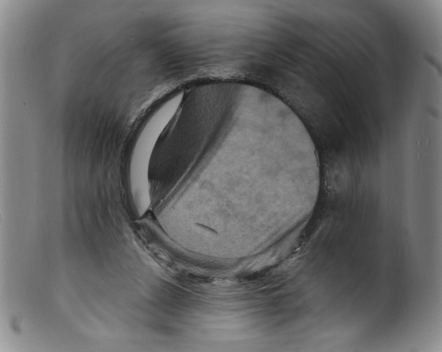 X0000098200256200805221548