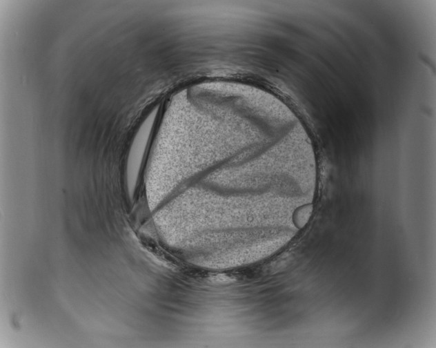 X0000098200257200805221548