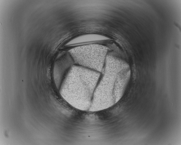 X0000098200258200805221548