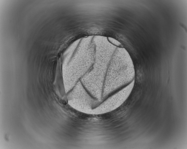 X0000098200259200805221548