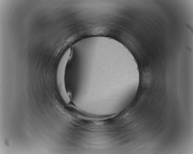 X0000098200260200805221548