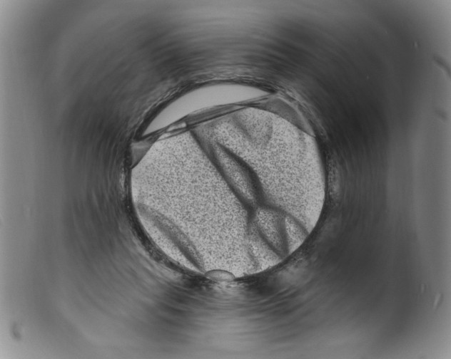 X0000098200261200805221548