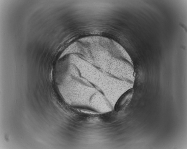 X0000098200262200805221548