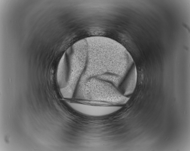 X0000098200263200805221548