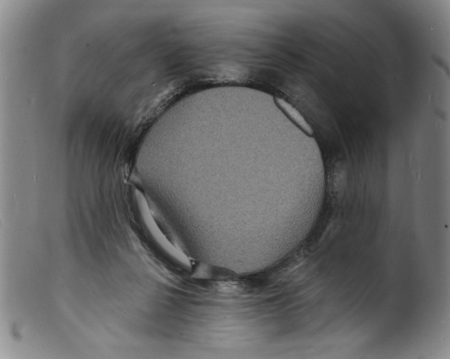 X0000098200264200805221548