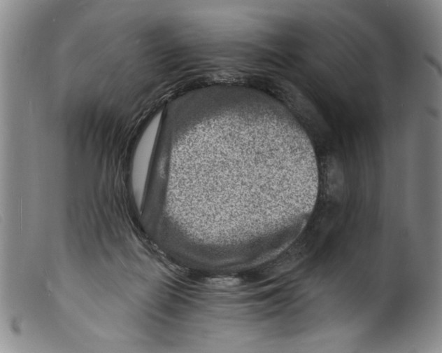 X0000098200266200805221548