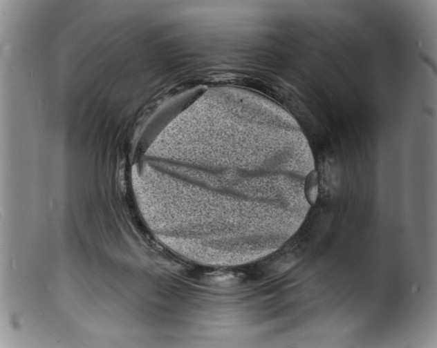 X0000098200267200805221548