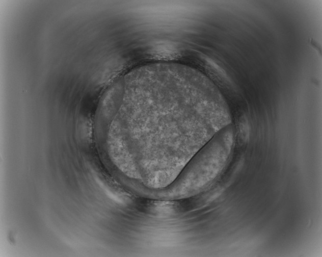 X0000098200268200805221549