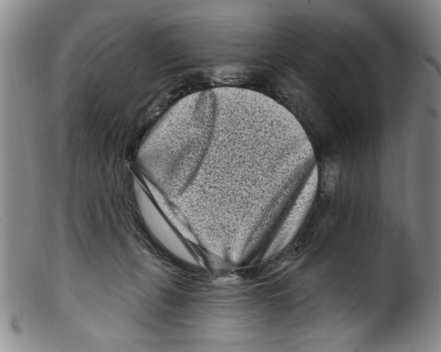 X0000098200271200805221549