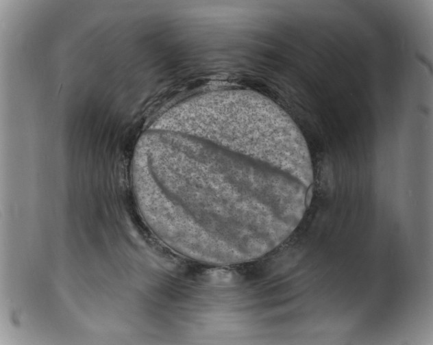 X0000098200272200805221549