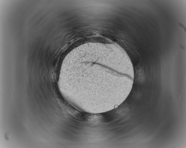 X0000098200274200805221549