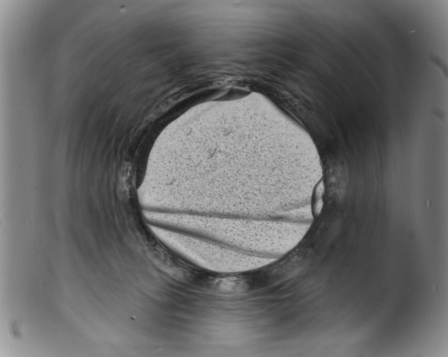 X0000098200275200805221549