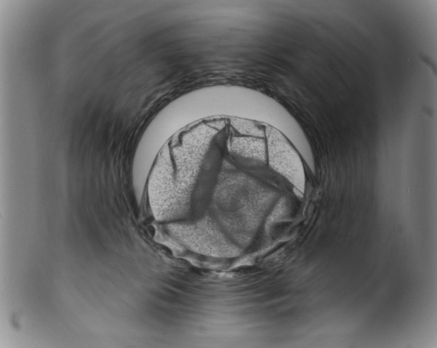 X0000098200276200805221549