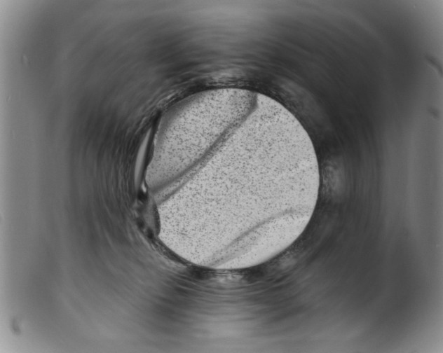 X0000098200278200805221549