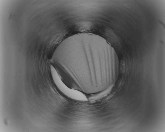 X0000098200280200805221549