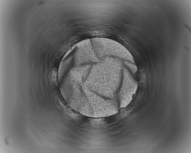 X0000098200281200805221549