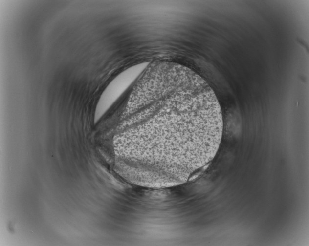 X0000098200282200805221549