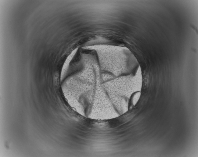 X0000098200283200805221549