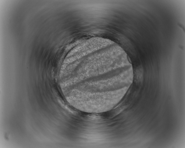 X0000098200284200805221549