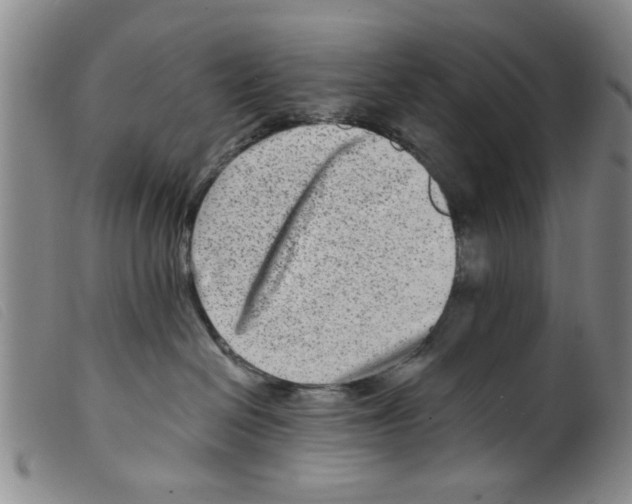 X0000098200286200805221549