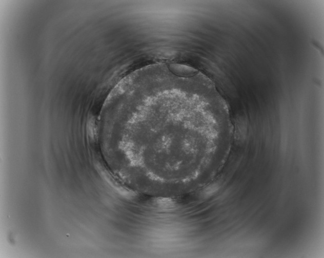 X0000098200287200805221549