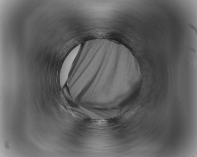 X0000098200288200805221549