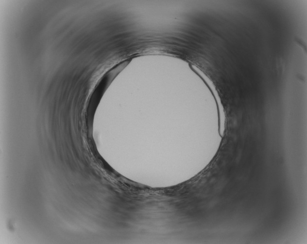 X0000098200289200805221548
