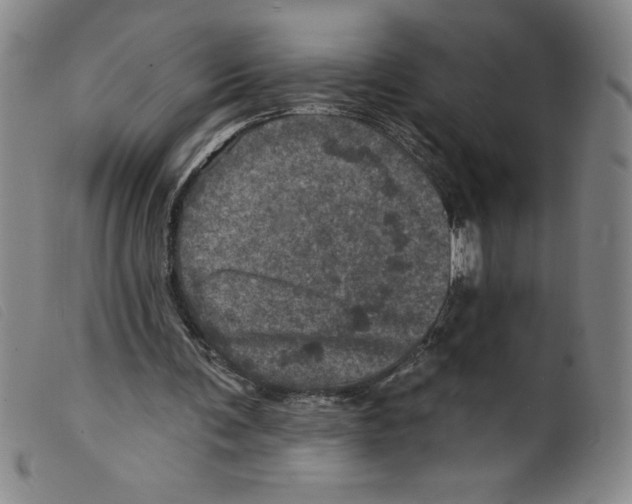 X0000098200291200805221548