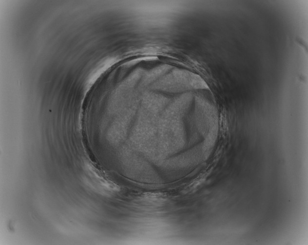 X0000098200292200805221548