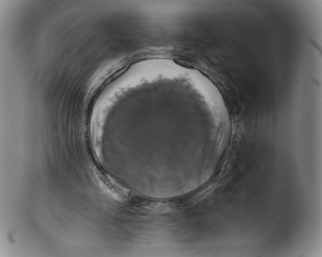 X0000098200293200805221548